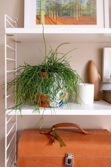 Stylish Central Apartment With Parking - Garden And Workspace Bath Buitenkant foto